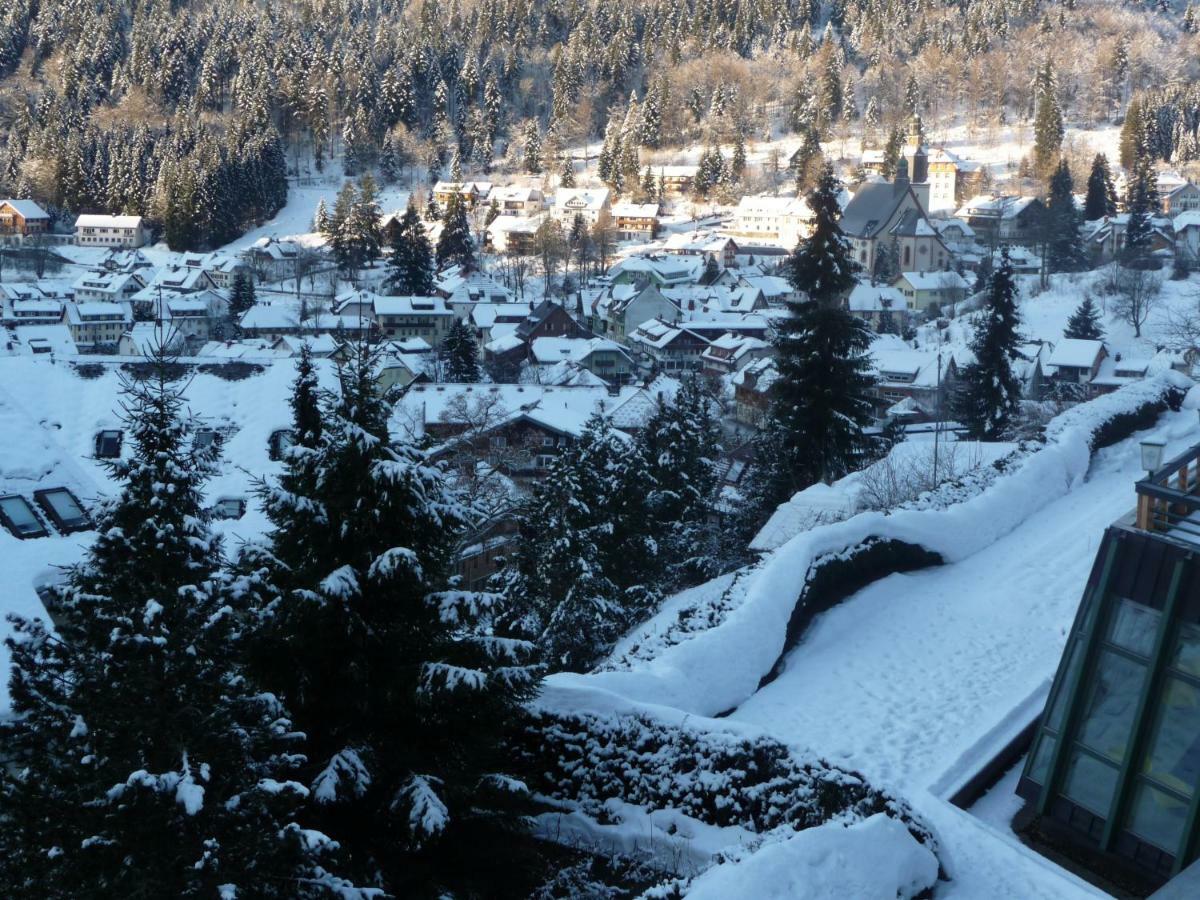Haus Dachsberg Todtmoos Lejlighed Eksteriør billede
