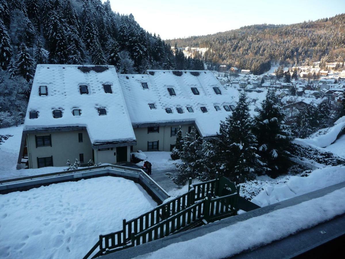 Haus Dachsberg Todtmoos Lejlighed Eksteriør billede